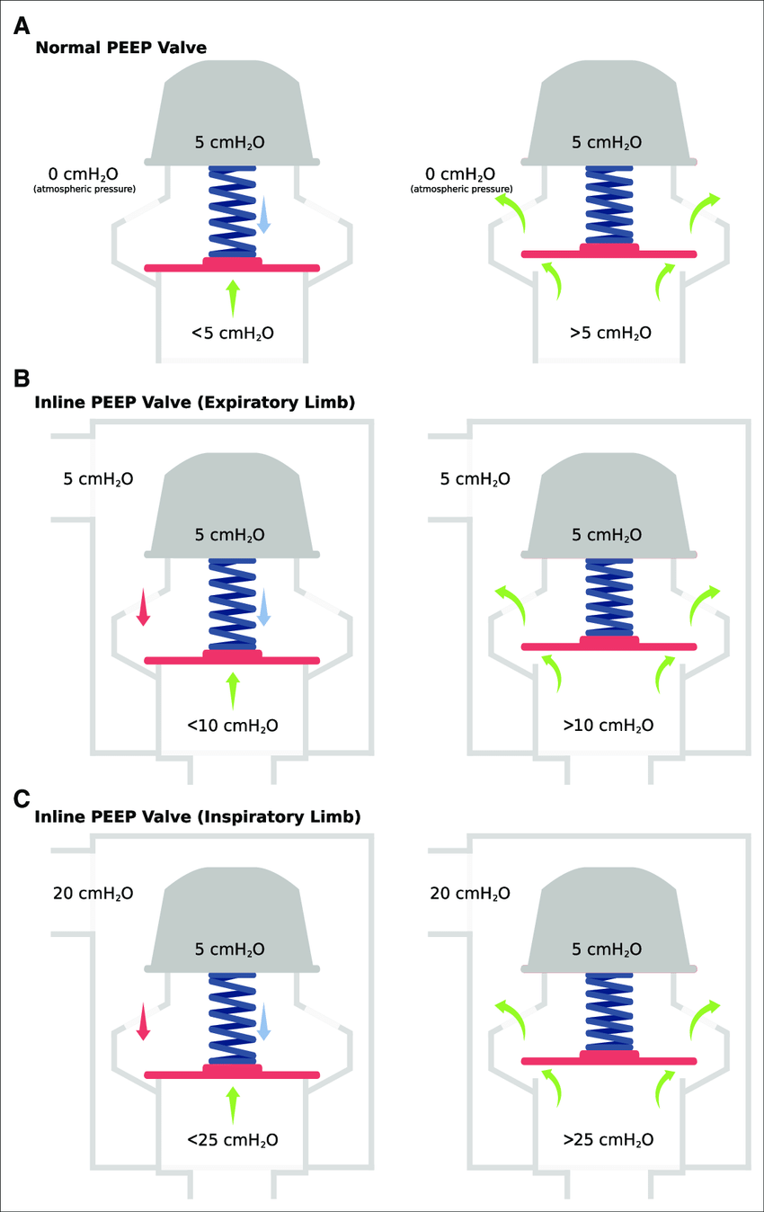 PEEV valve for Ambu Bag