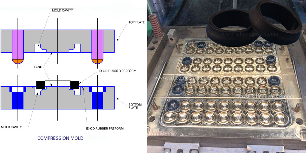 Compression Molded Gasket